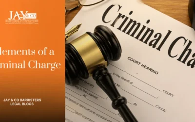 Elements of a Criminal Charge