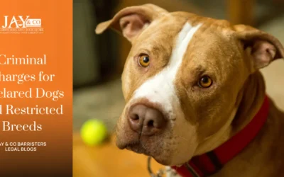 Criminal Charges for Declared Dogs and Restricted Breeds
