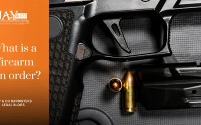 What is a Firearm ban order?