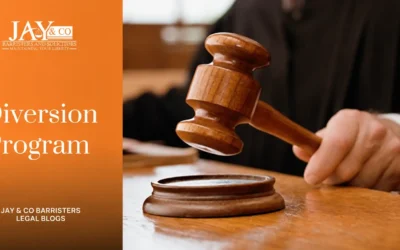 Diversion Program
